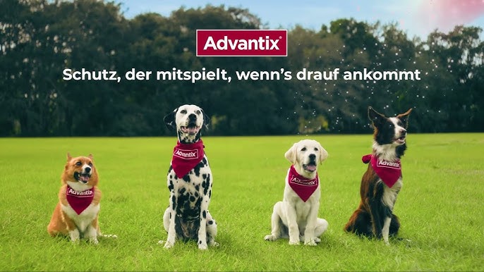 Werbespots | Advantix